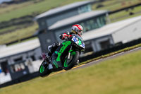 PJ-Motorsport-2019;anglesey-no-limits-trackday;anglesey-photographs;anglesey-trackday-photographs;enduro-digital-images;event-digital-images;eventdigitalimages;no-limits-trackdays;peter-wileman-photography;racing-digital-images;trac-mon;trackday-digital-images;trackday-photos;ty-croes